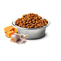 N&D Ocean Cod, Pumpkin & Orange Adult Medium & Maxi 12kg
