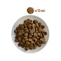 PRINCE HYPOALLERGENIC WITH DUCK 2KG