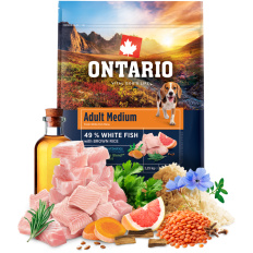 Ontario Adult Medium Fish & Brown Rice 2,25kg