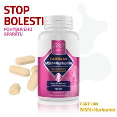 Altervet CARTILAN MSM+Kurkumin 100tbl