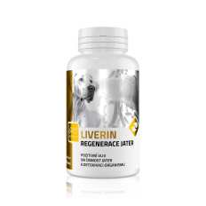 LIVERIN 100 kapslí