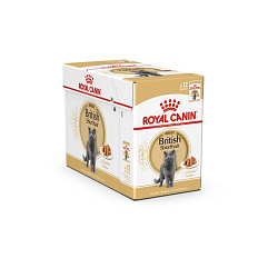 Royal Canin Kapsička British shorthair 12 x 85g