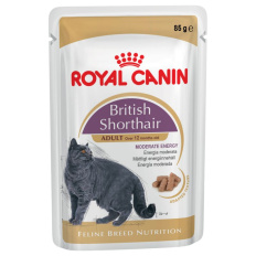 Royal Canin Kapsička British shorthair 12 x 85g