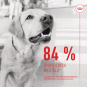 Royal Canin Digestion Adult Dog Supplements 160g