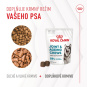 Royal Canin Joint & Ageing Adult Dog Supplements 240g