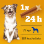 PEDIGREE Dentastix L 7ks 1080g