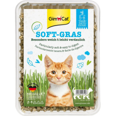 Gimcat Soft-Grass tráva pro kočky 100 g