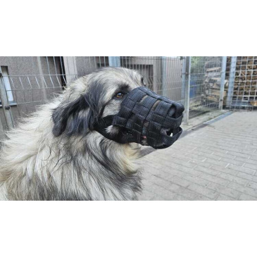 Náhubek popruh podšitý (L) Zero