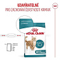 Royal Canin Ageing 15+  2 kg
