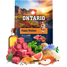 Ontario Puppy Medium Lamb & Brown Rice 2,25kg 