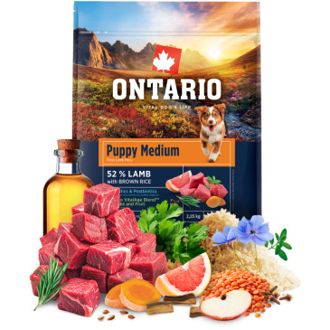 Ontario Puppy Medium Lamb & Brown Rice 2,25kg 