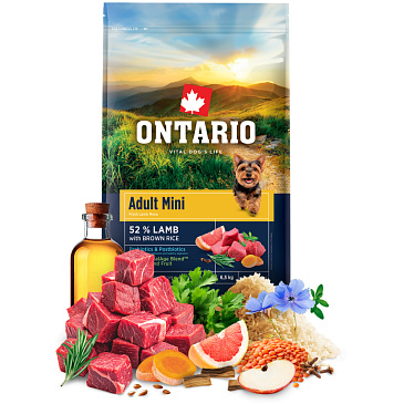 Ontario Adult Mini Lamb & Brown Rice 2,5kg 