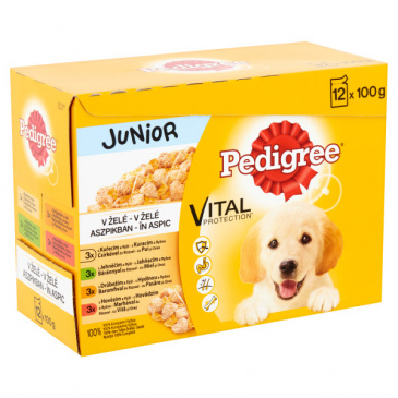 Pedigree kapsička 12x100g Junior