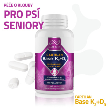 Altervet CARTILAN Base K2+D3 100 tbl