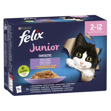 FELIX Fantastic Junior multipack 12x85g, s kuřetem v želé