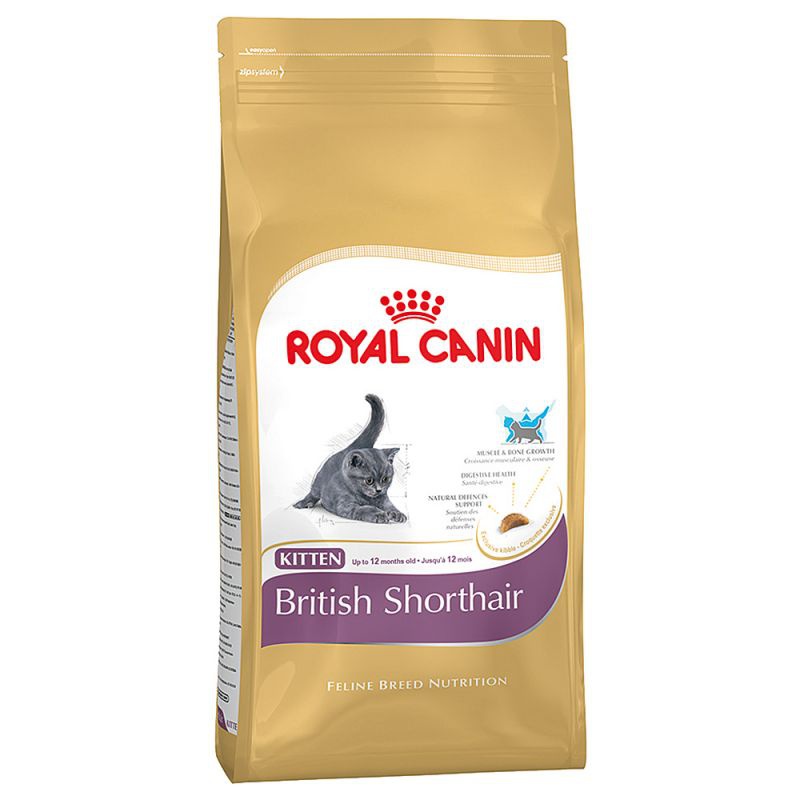 Royal Canin Cat BRITISH SHORTHAIR kitten 400g - Twiko