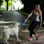 Pitch Dog - Kroužek pro psy - Modrý 30 cm