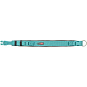 PREMIUM obojek extra široký, aqua/grafit XS-S 27-35cm/25mm