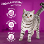 Whiskas kapsičky Tasty Mix Krémové menu ve šťávě 12 x 85g