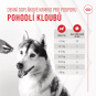 Royal Canin Joint & Ageing Adult Dog Supplements 240g