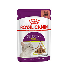 Royal Canin Cat Kapsička Sensory Smell gravy 12 x 85g