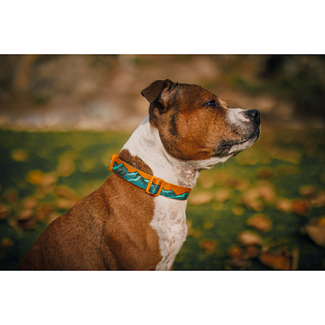 Non-stop Obojek Trail quest collar Rachel Pohl vel L zelený