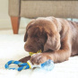 JW Hračka pro štěňata 3 v 1 Puppy Connects