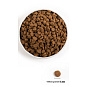 ORIJEN PUPPY 11,4 kg